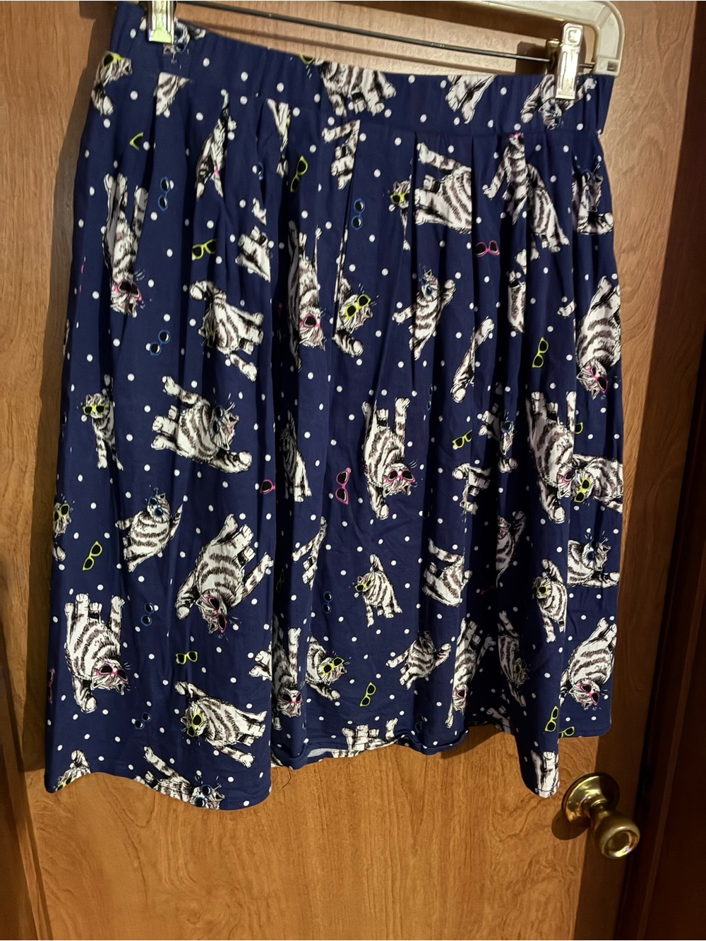 Cats Wearing Sunglasses Pleated Navy Skirt S/M